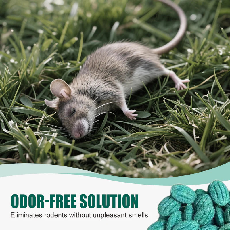 🎁Limited-time offer: Buy two, get one free High-Potency Rodent Bait✨