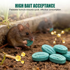 🎁Limited-time offer: Buy two, get one free High-Potency Rodent Bait✨