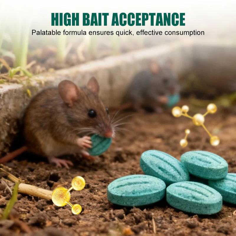 🎁Limited-time offer: Buy two, get one free High-Potency Rodent Bait✨
