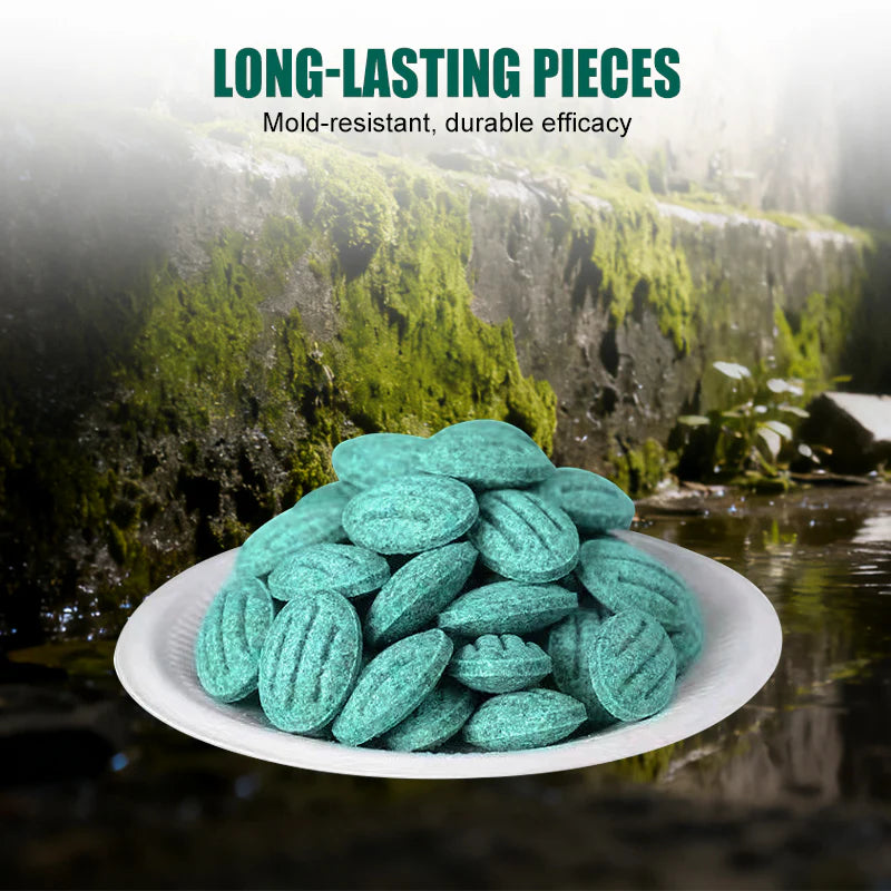 🎁Limited-time offer: Buy two, get one free High-Potency Rodent Bait✨