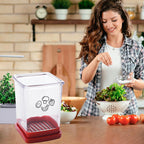 🎅Early Xmas Sales🎅Quick Manual Slicer for Kitchen