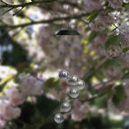 Outdoor Solar Wind Chimes Light