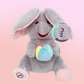 🎁 Hot Sale 49% OFF 🔥Cute Hide And Seek Elephant Plush Doll